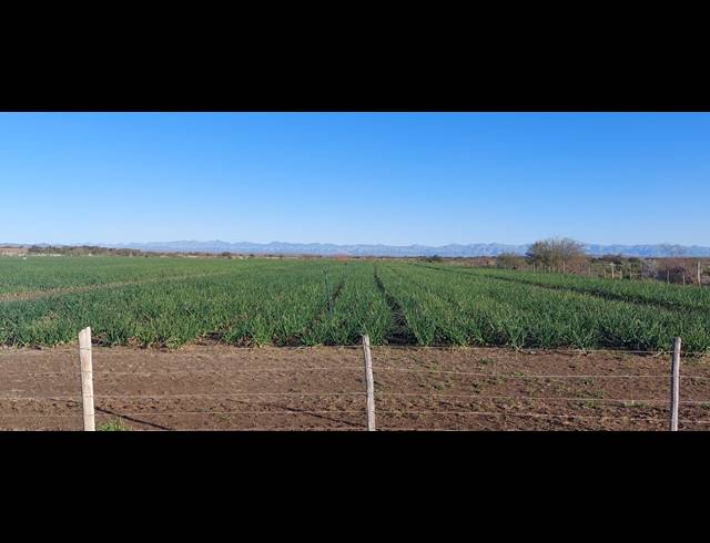 4,642HA FARM FOR SALE IN LEEU GAMKA